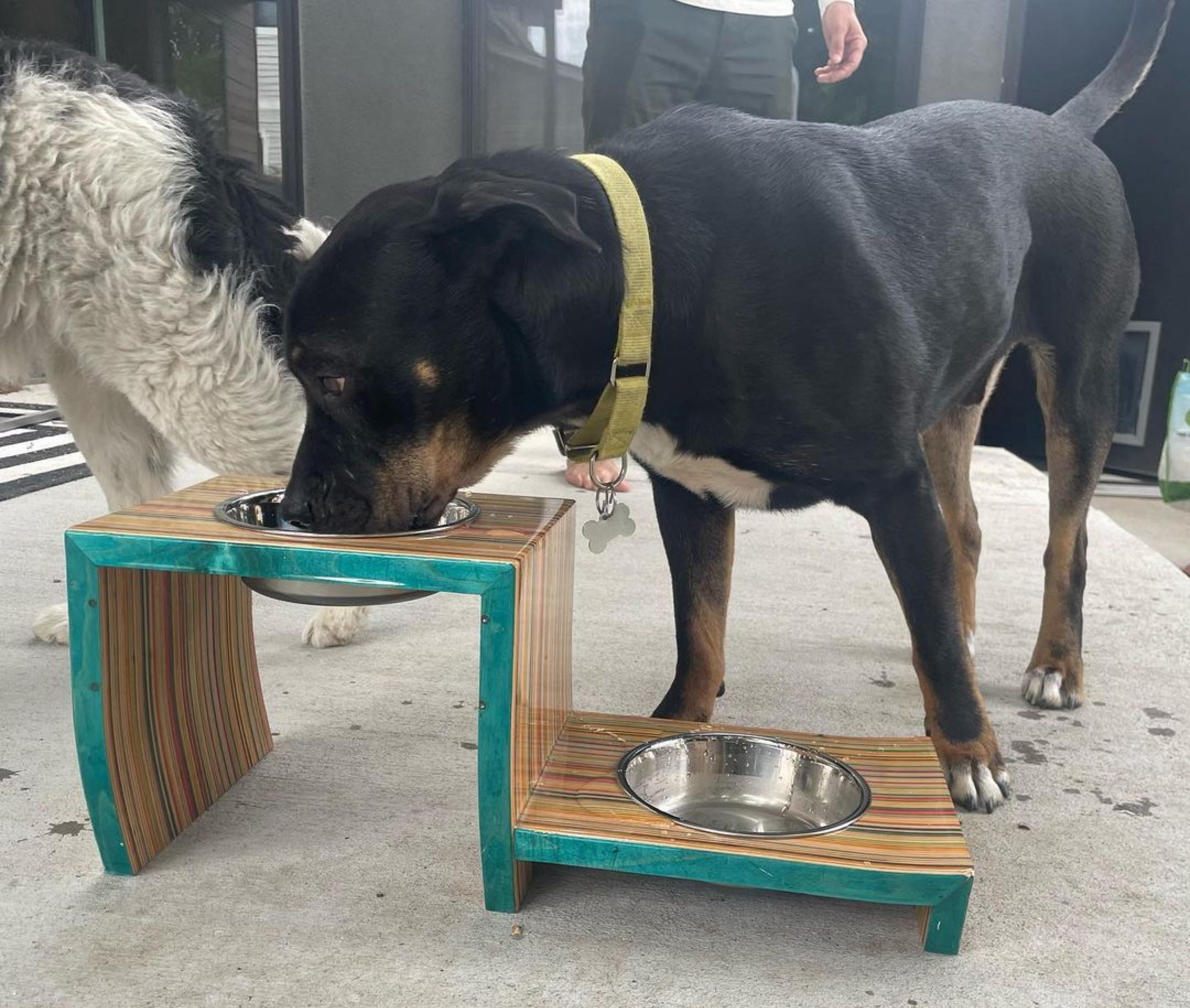 Ryan Solins' customer dog enjoying Floating Dog Bowl Stand
