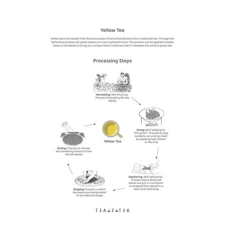 The processing steps of yellow tea
