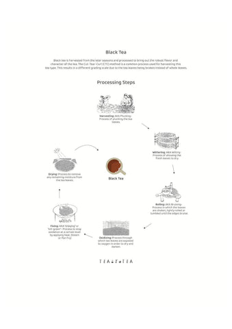 The processing steps of black tea