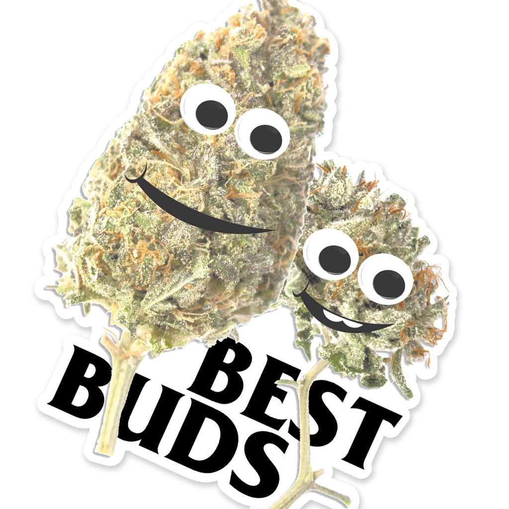 Best Buds – Casual Industrees