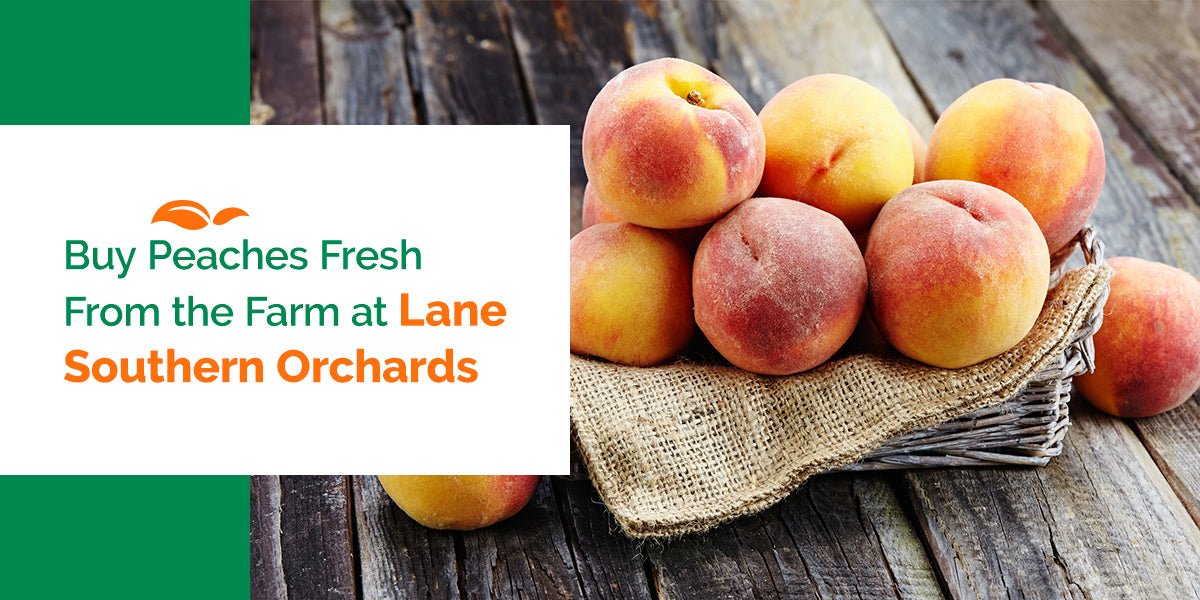 How to Pick the Best Peaches