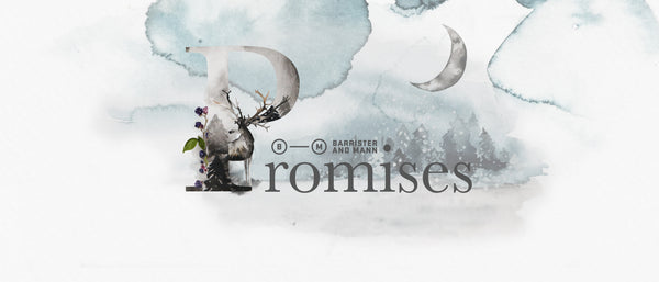 Promises Banner