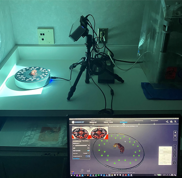 3D scanner setup during image acquisition with specimen on turntable, photo courtesy of Wiley Online Library