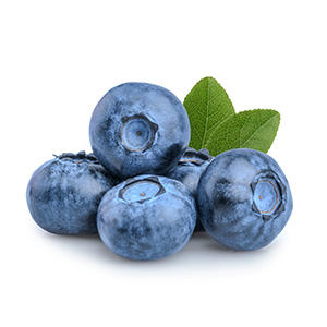 Blueberry Fruit Extract (100 mg)