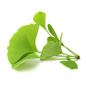 Ginkgo Leaf Extract (180 mg)