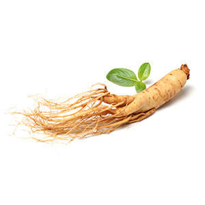 Ginseng Root Extract (300 mg)