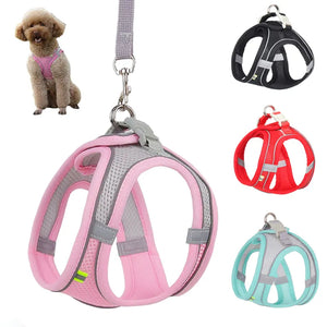Harness Leash Set for Small Dogs - Outplay