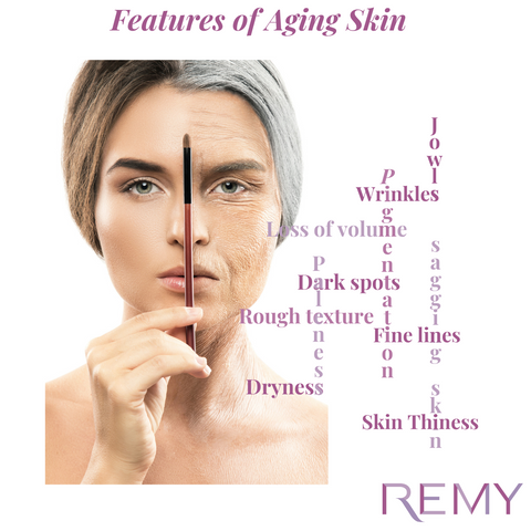 Features of aging skin show signs of sagging, wrinkles, dryness, dark spots, skin thinness, jowls and finelines.