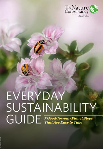 Sustainability Guide: Starwin