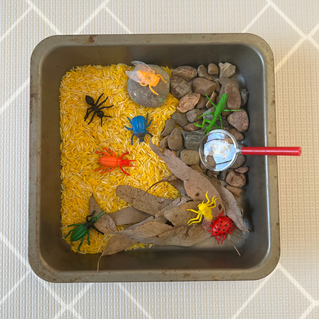 sensory rice play