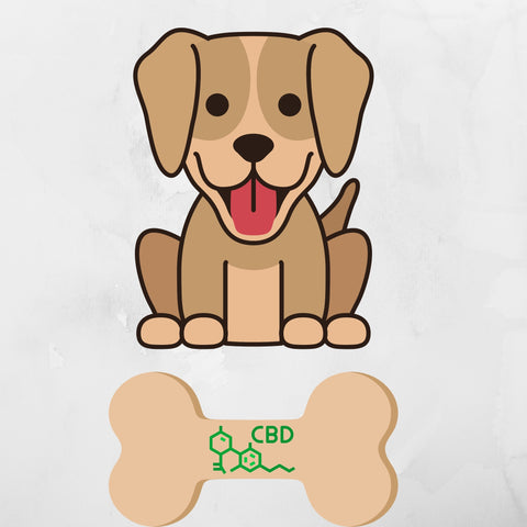 CBD dog treats with a dog smiling happy because he is feeling better 