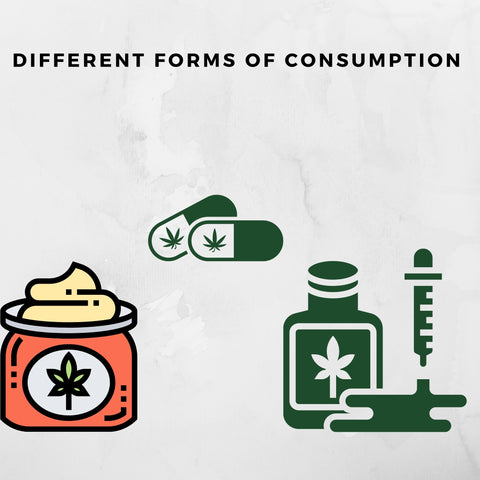 CBD forms of consumption animations of lotions, pills and needles