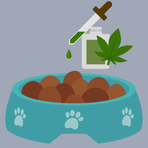 CBD tincture being dripped onto dog food - scaled out portion 