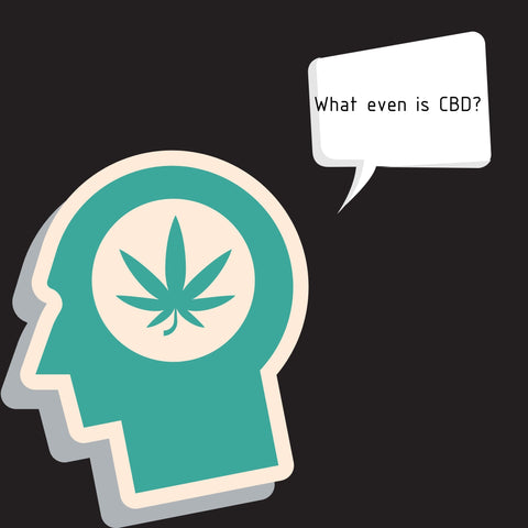 A brain thinking about what exactly is CBD 