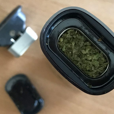 Dry herb in a dry herb vaporizer 