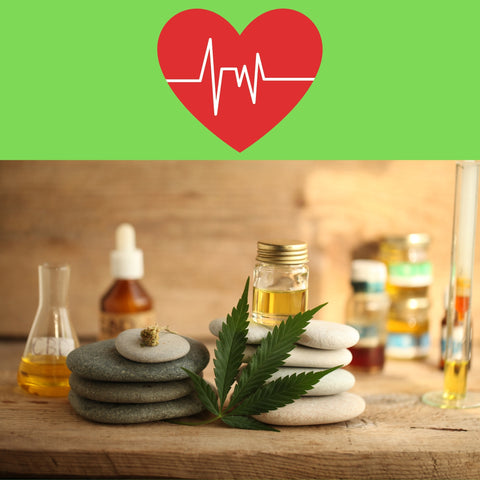 Healthy living with CBD lotions prescribed by your doctor 