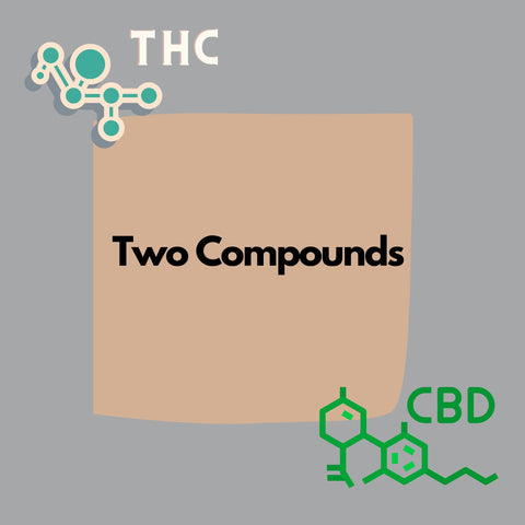 The and CBD strain animation and of the two compounds 