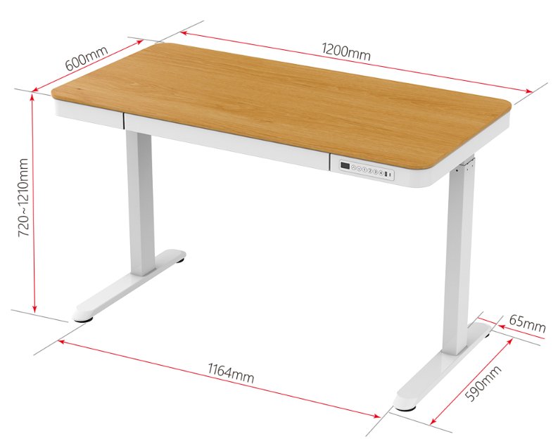 Flexispot E9W Wooder Standing Desk with Drawer