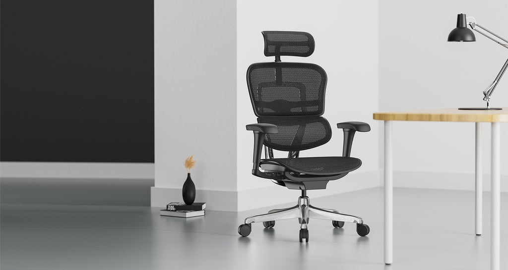Ergohuman Project 2.0 Ergonomic Office Chair