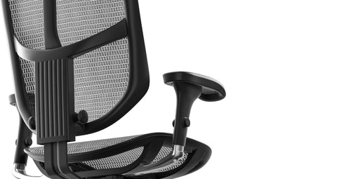 Ergohuman Enjoy Project Ergonomic Office Chair