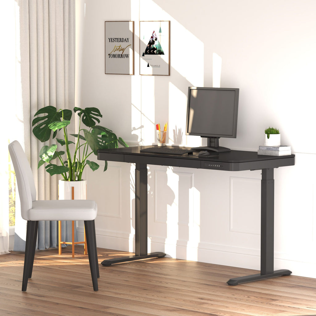 Flexispot E9W Wooder Standing Desk with Drawer