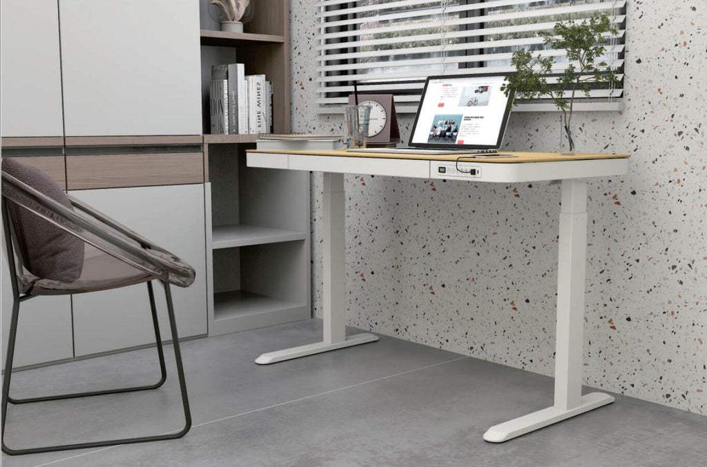 Flexispot E9W Wooder Standing Desk with Drawer