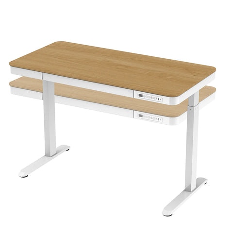 Flexispot E9W Wooder Standing Desk with Drawer