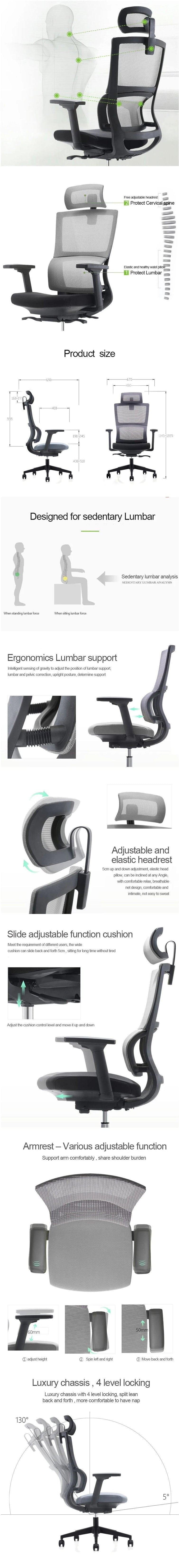 Aiden Ergonomic Office Chair