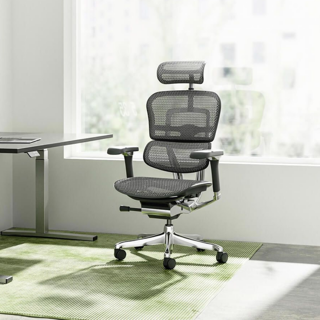 Ergohuman Ergonomic Office Chair