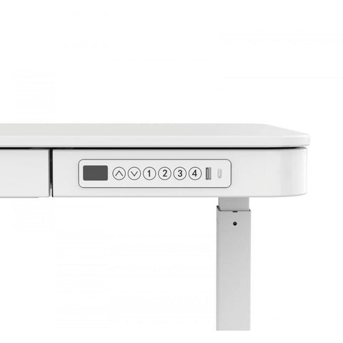 Flexispot E9W Wooder Standing Desk with Drawer