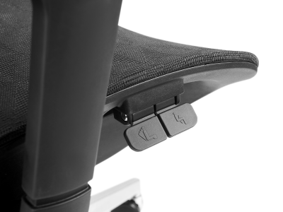 Hoey Ergonomic Office Chair