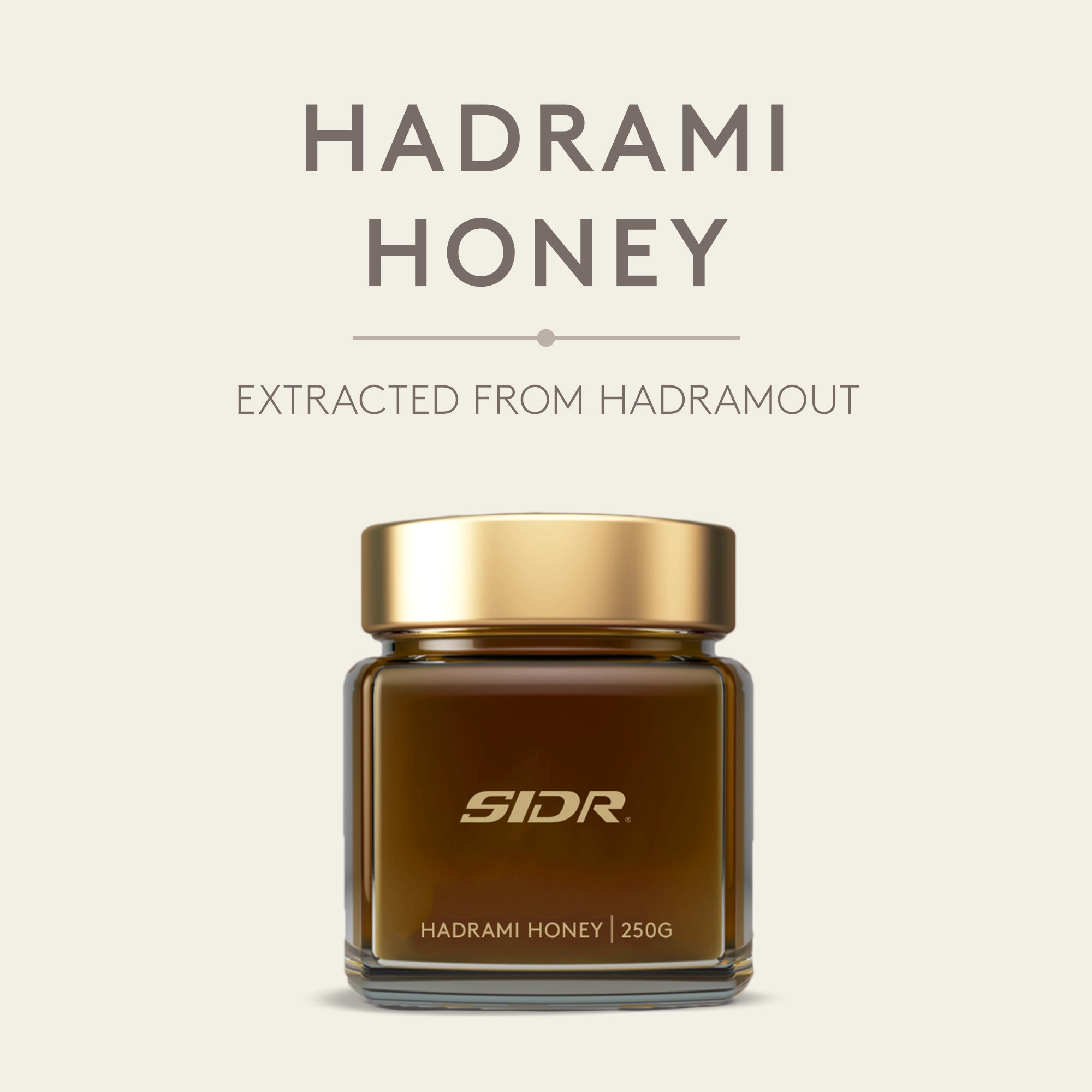 sidr hadrami honey from hadramout