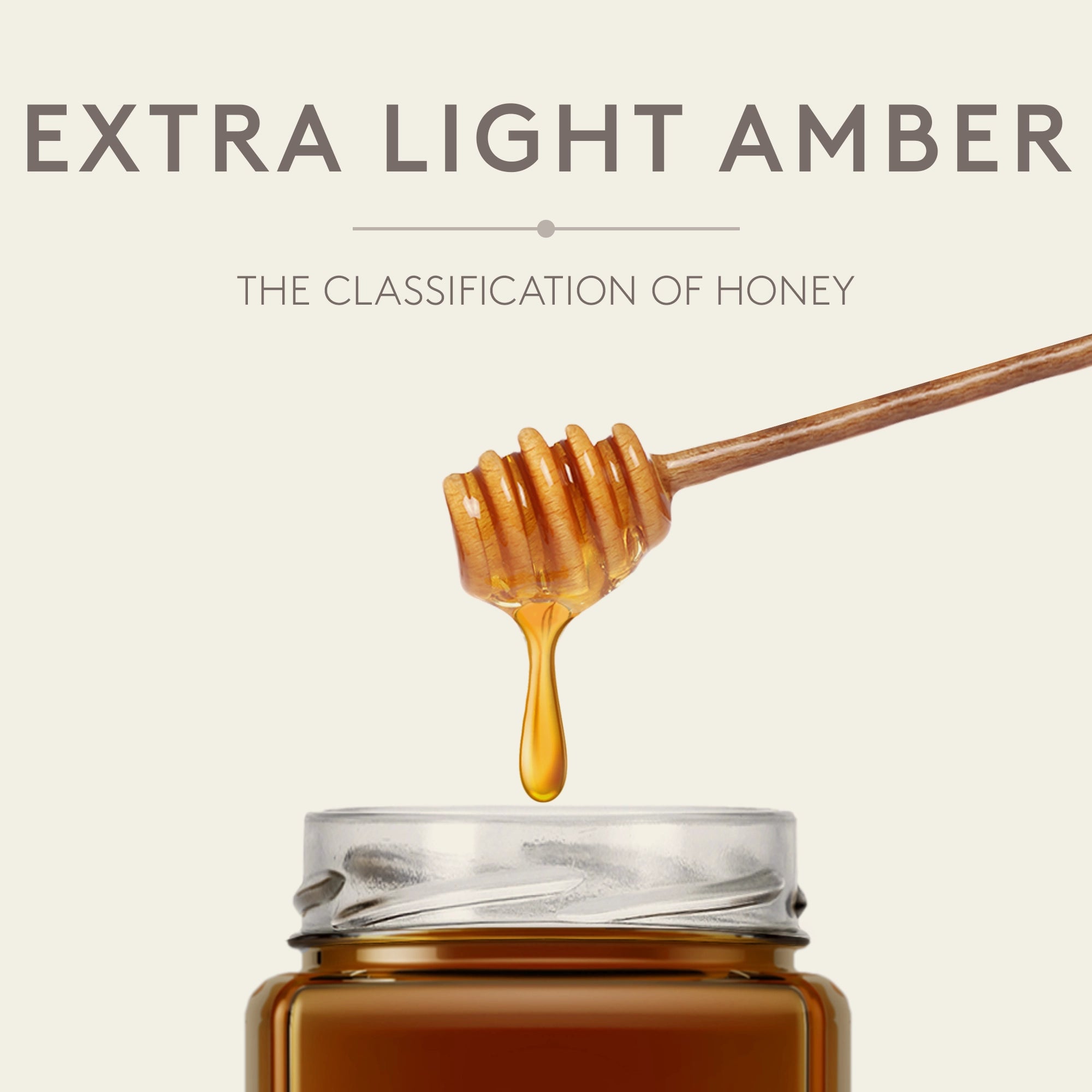 wildflower honey extra light amber