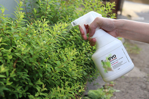 Evo 虫を寄せ付けない水 除虫菊 400ml Lovegreen Store