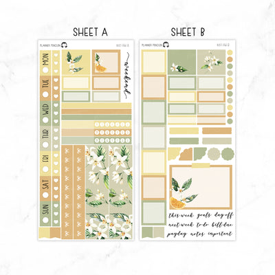 Citrus Floral Hobonichi Weeks kit | HW-87