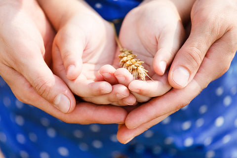 How To Introduce Wheat To Baby