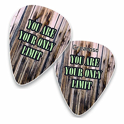 Guitar Picks (12Pack) Inspirational Dream Big Quotes