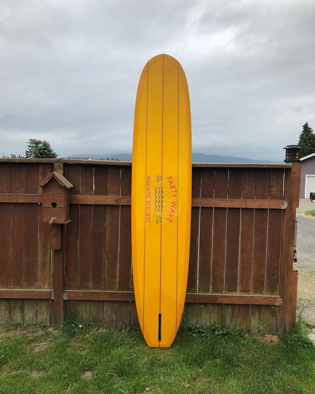 bauer surfboards