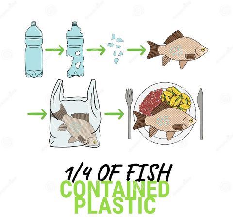 Fish I Consume, does it have Microplastics in it ? Plastic Pollution a —  Vridhi Techno Farms Pvt Ltd