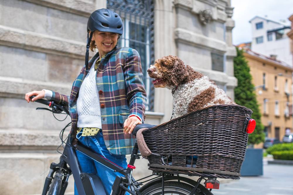 Qu'est-ce que l'homologation obligatoire d'un vélo électrique ?-2