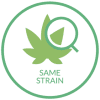 Strain Hemp Icon