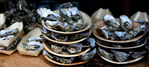 Oysters from different festivals