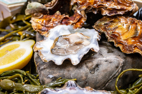 A selection of Pacific oysters harvested from the wild