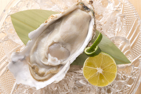 A close-up of an oyster shell with an adductor muscle