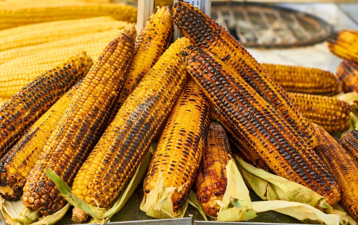 grilled corn on the cob at a backyard BBQ