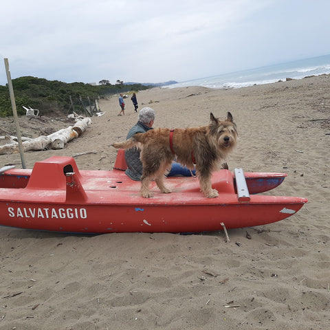 Puck der "Rettungsschwimmer"