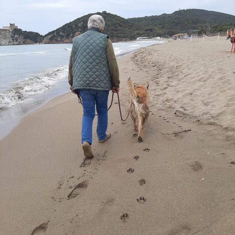 Am Strand bei: Herrchen und Hund