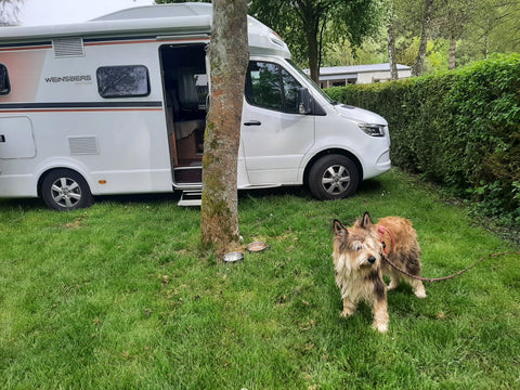 Campingplatz in Kipfenberg im Altmühltal