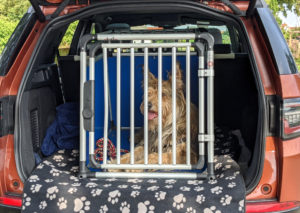 Hundebox im Land Rover Discovery