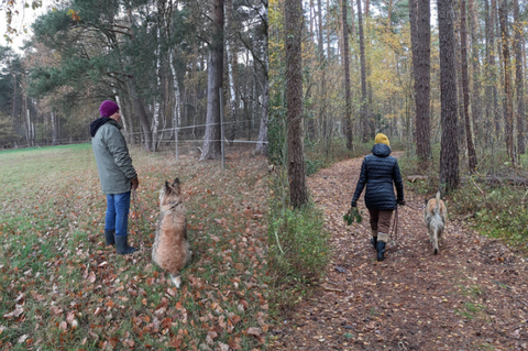 Herrchen und Frauchen mit Hund bei einer entpannten Rast und beim Spaziergang